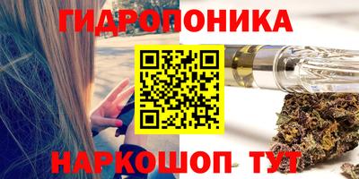 шишки Конаково