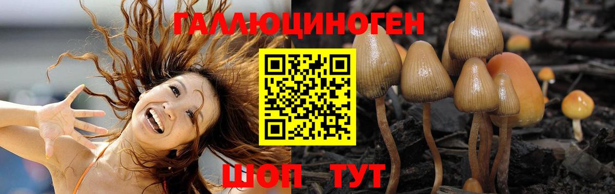 Чебаркуль  Псилоцибиновые грибы GOLDEN TEACHER  Вход с VPN 